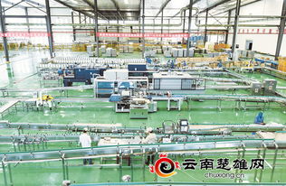 摩爾農(nóng)莊 以技術服務為引擎推動三產(chǎn)融合發(fā)展